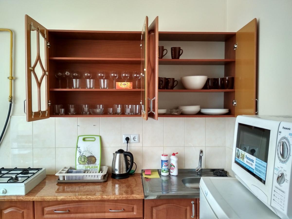 Apartments "Domovik" Івана Парканія 2А Кв 19 Mukachevo Exterior foto